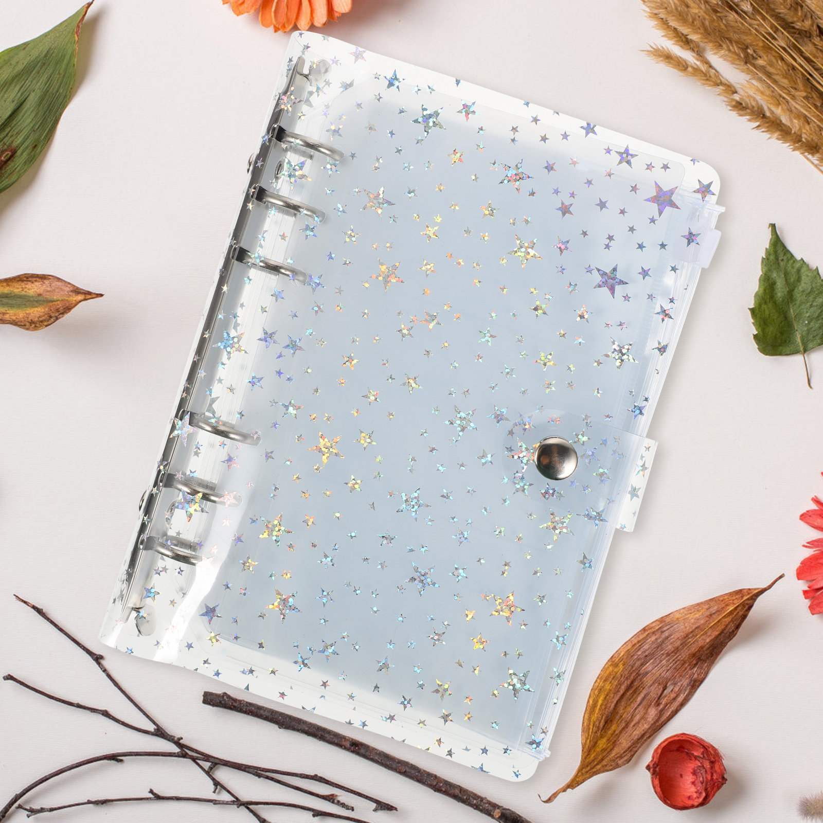 Home Office Budget - 1Set Budget Binder Loose-Leaf Notebook Premium